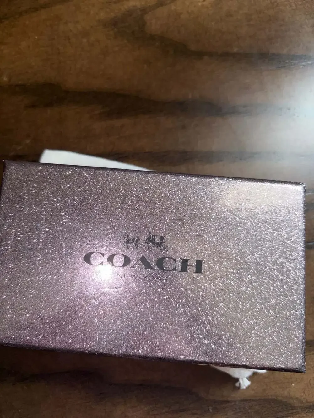 Coach Star Canyon Glitter Keychain F64350 Silver/Gunmetal
